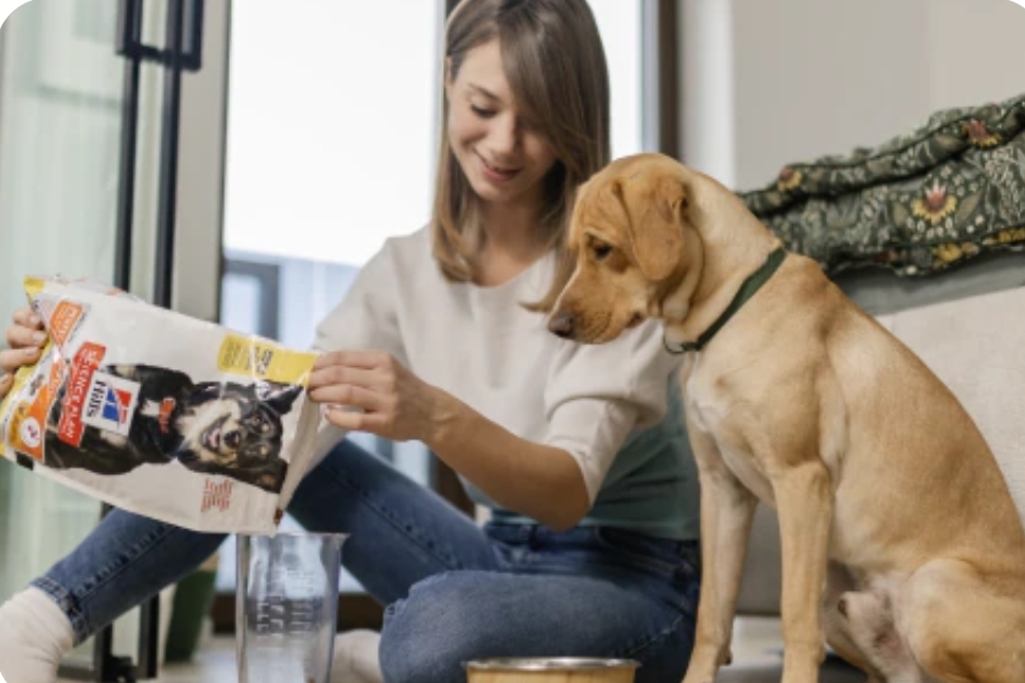 Pet Health