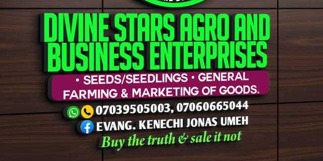 Evang Kenechi Jonas Umeh
