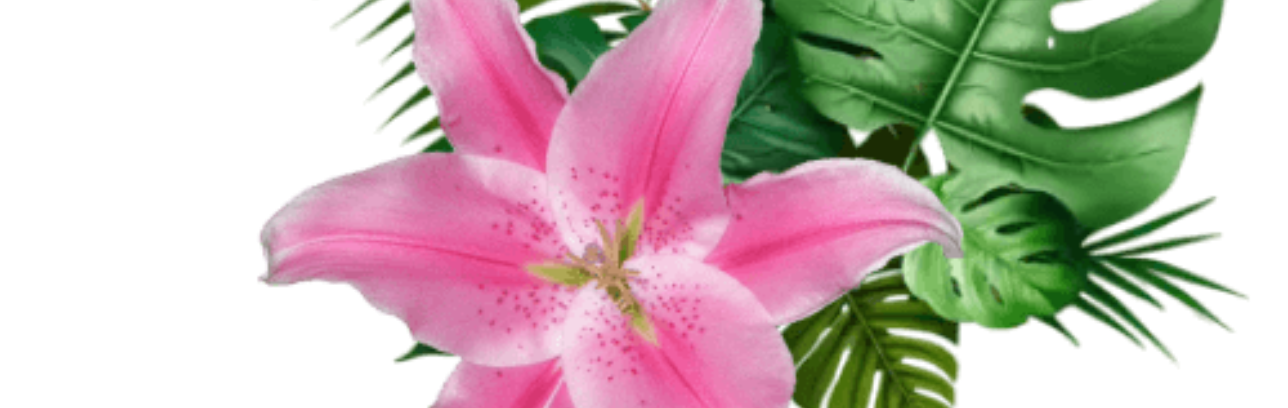 Dolorem ad adipisici